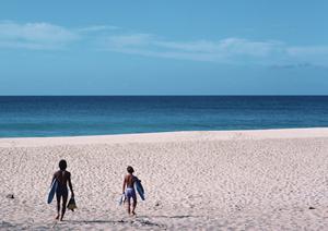 札幌すすきののビジネスホテル｜東横INN札幌すすきの交差点の魅力と詳細情報